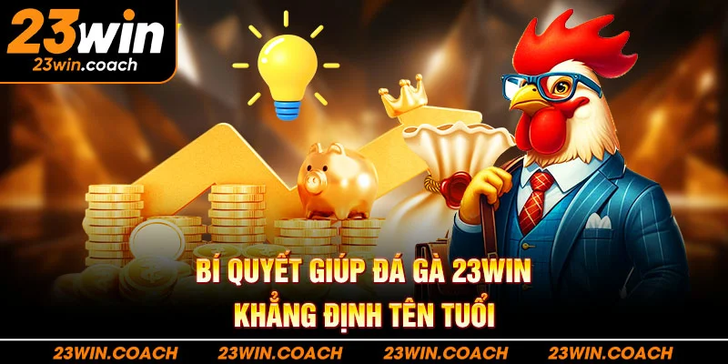 Đá Gà 23Win 2 Bí quyết giúp đá gà 23WIN khẳng định tên tuổi