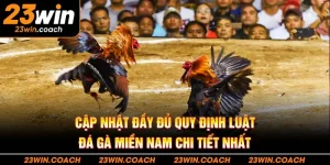 Cập nhật đầy đủ quy định luật đá gà miền nam chi tiết nhất