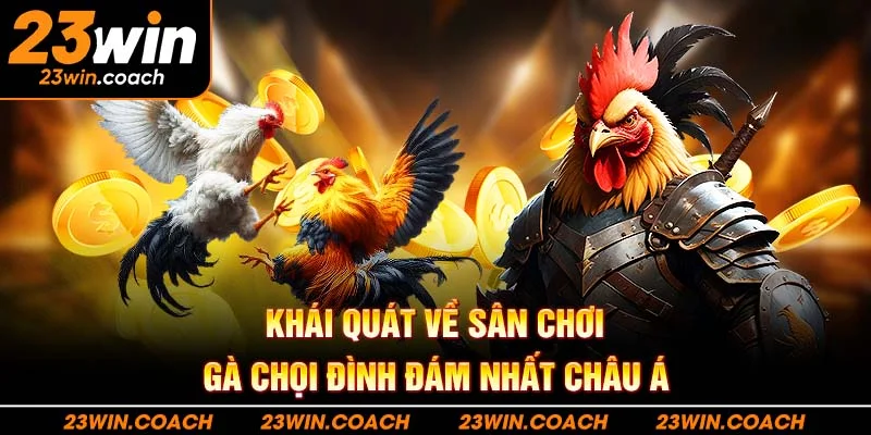 Đá Gà 23Win 1 Khái quát về sân chơi gà chọi đình đám nhất châu Á