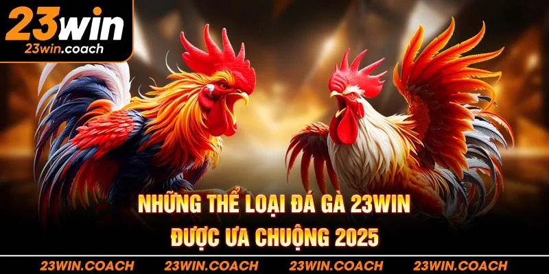 Đá Gà 23Win 3 Những thể loại đá gà 23WIN được ưa chuộng 2025